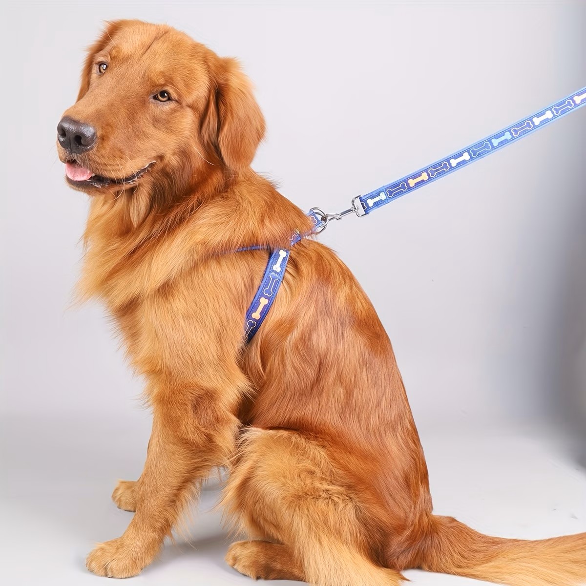Adjustable Dog Harness with Qu - đánh giá và giá D Ring Strap