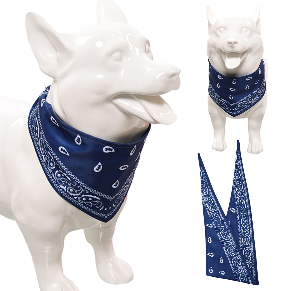 TV ST 5 Eleven Dog Blue printe - đánh giá và giá Cosplay Prop Blueprints
